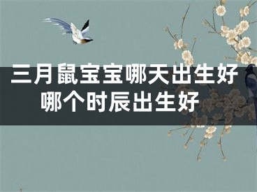 三月鼠宝宝哪天出生好 哪个时辰出生好