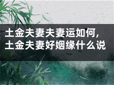 土金夫妻夫妻运如何,土金夫妻好姻缘什么说