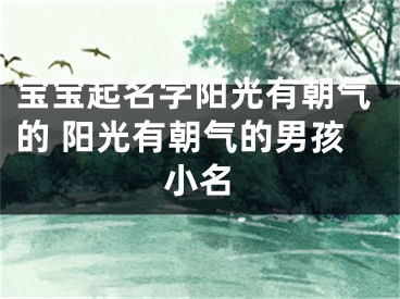 宝宝起名字阳光有朝气的 阳光有朝气的男孩小名