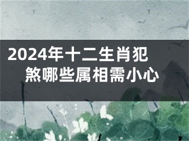 2024年十二生肖犯煞哪些属相需小心