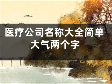 医疗公司名称大全简单大气两个字