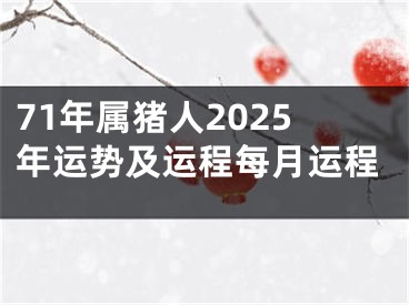 71年属猪人2025年运势及运程每月运程