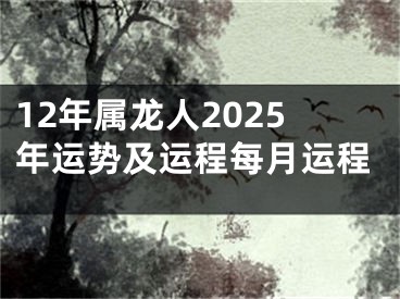 12年属龙人2025年运势及运程每月运程