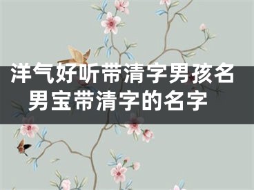 洋气好听带清字男孩名 男宝带清字的名字