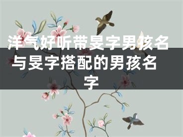 洋气好听带旻字男孩名 与旻字搭配的男孩名字