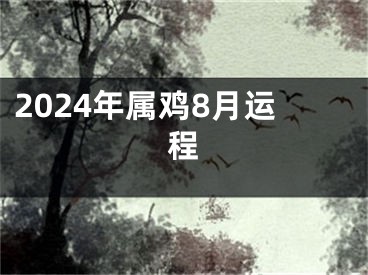 2024年属鸡8月运程