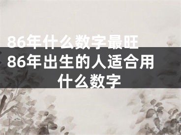 86年什么数字最旺 86年出生的人适合用什么数字
