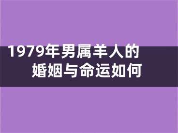 1979年男属羊人的婚姻与命运如何