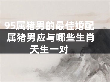 95属猪男的最佳婚配 属猪男应与哪些生肖天生一对 