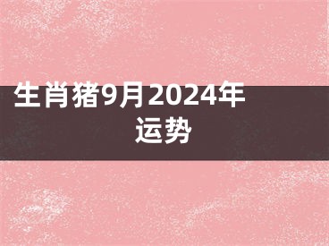 生肖猪9月2024年运势
