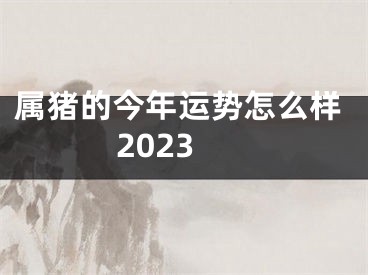 属猪的今年运势怎么样2023