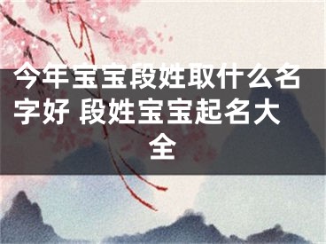 今年宝宝段姓取什么名字好 段姓宝宝起名大全