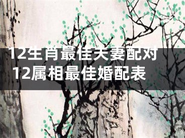 12生肖最佳夫妻配对 12属相最佳婚配表