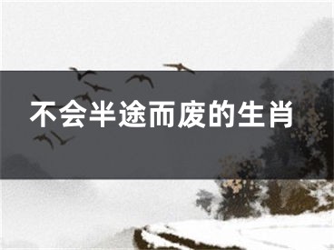 不会半途而废的生肖