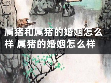 属猪和属猪的婚姻怎么样 属猪的婚姻怎么样