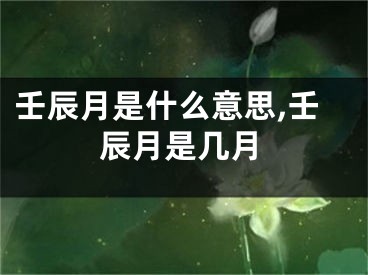 壬辰月是什么意思,壬辰月是几月