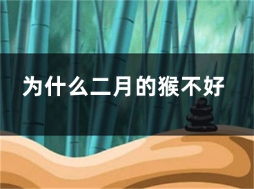 为什么二月的猴不好