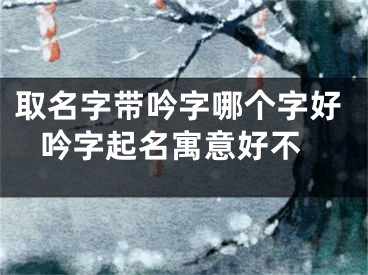 取名字带吟字哪个字好 吟字起名寓意好不