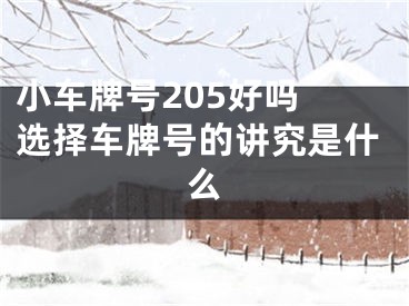 小车牌号205好吗 选择车牌号的讲究是什么