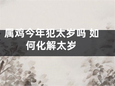 属鸡今年犯太岁吗 如何化解太岁 