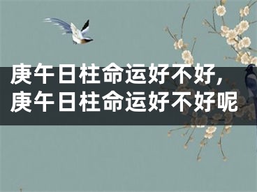 庚午日柱命运好不好,庚午日柱命运好不好呢