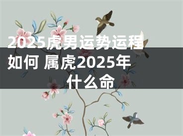 2025虎男运势运程如何 属虎2025年什么命