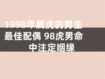 1998年属虎的男生最佳配偶 98虎男命中注定姻缘