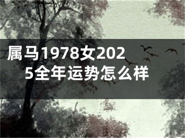属马1978女2025全年运势怎么样