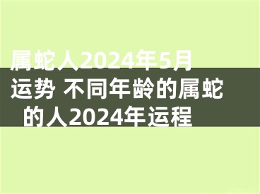 属蛇人2024年5月运势 不同年龄的属蛇的人2024年运程