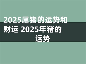 2025属猪的运势和财运 2025年猪的运势