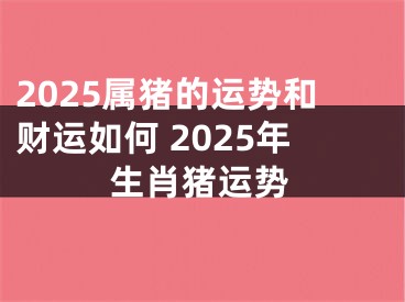 2025属猪的运势和财运如何 2025年生肖猪运势