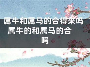 属牛和属马的合得来吗  属牛的和属马的合吗