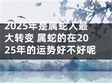 2025年是属蛇人最大转变 属蛇的在2025年的运势好不好呢