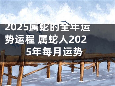 2025属蛇的全年运势运程 属蛇人2025年每月运势