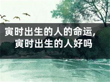 寅时出生的人的命运,寅时出生的人好吗