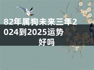 82年属狗未来三年2024到2025运势好吗