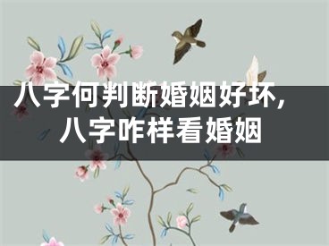 八字何判断婚姻好坏,八字咋样看婚姻