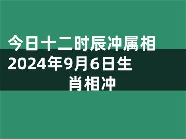 今日十二时辰冲属相 2024年9月6日生肖相冲