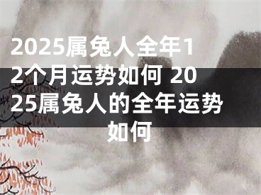 2025属兔人全年12个月运势如何 2025属兔人的全年运势如何