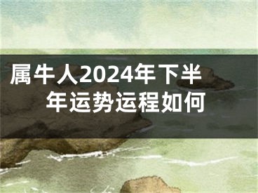 属牛人2024年下半年运势运程如何