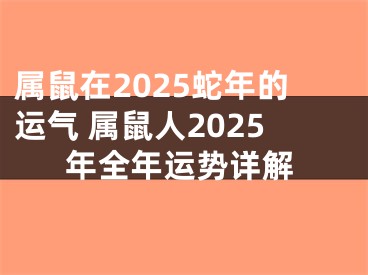 属鼠在2025蛇年的运气 属鼠人2025年全年运势详解