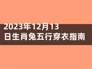 2023年12月13日生肖兔五行穿衣指南
