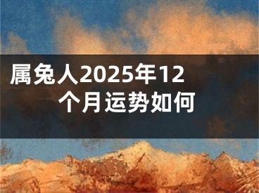属兔人2025年12个月运势如何