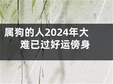 属狗的人2024年大难已过好运傍身