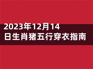 2023年12月14日生肖猪五行穿衣指南