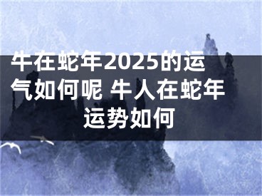 牛在蛇年2025的运气如何呢 牛人在蛇年运势如何