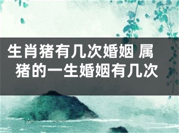 生肖猪有几次婚姻 属猪的一生婚姻有几次