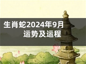 生肖蛇2024年9月运势及运程