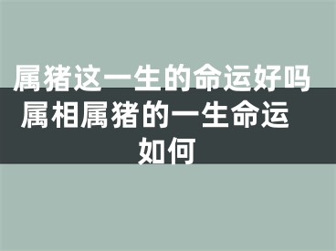 属猪这一生的命运好吗 属相属猪的一生命运如何