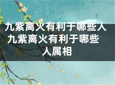 九紫离火有利于哪些人 九紫离火有利于哪些人属相